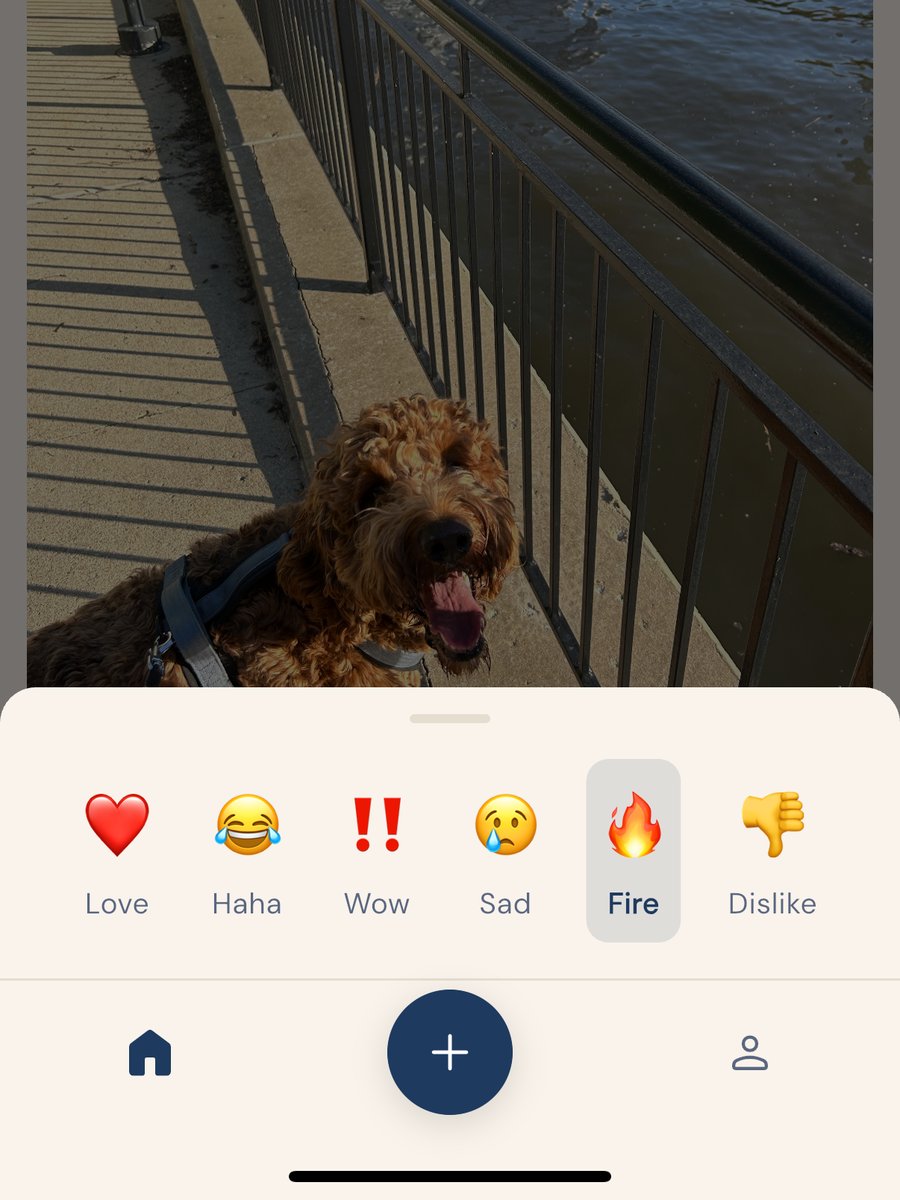 S'new reaction picker with Love, Haha, Wow, Sad, Fire, and Dislike options